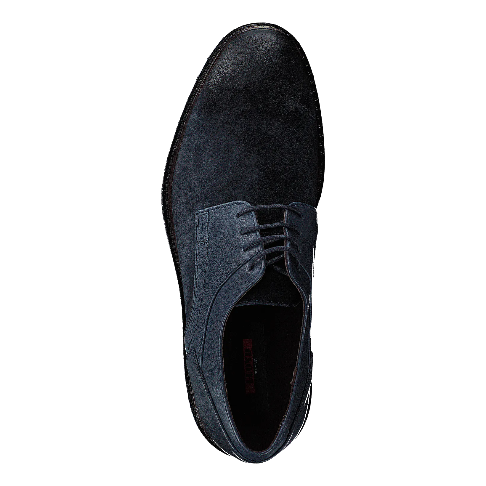 Falk Ocean/ Blue