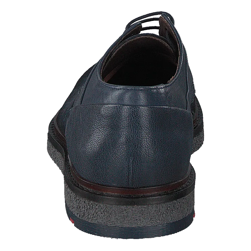 Falk Ocean/ Blue