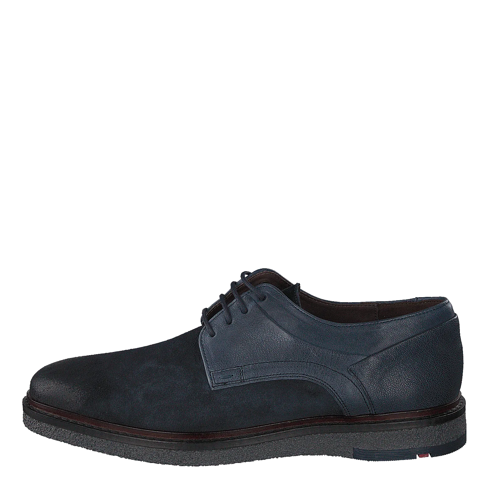 Falk Ocean/ Blue